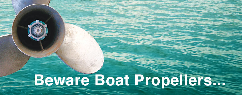 BEWARE BOAT PROPELLERS... BEWARE BOAT PROPELLERS…