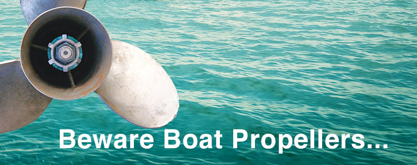 BEWARE BOAT PROPELLERS…